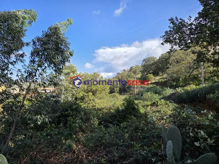 Immagine 4 di Terreno in vendita  in medina a Reggio Di Calabria