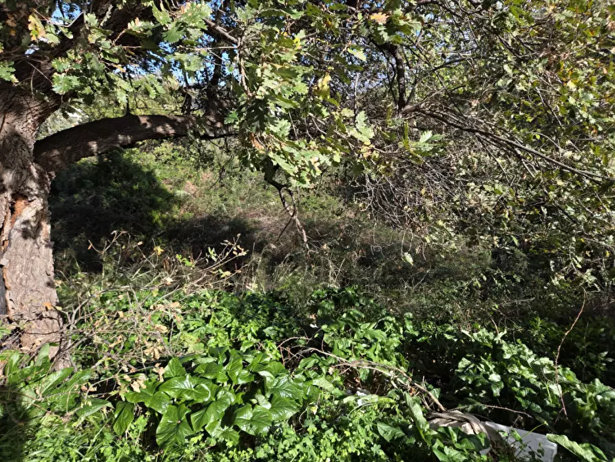 Immagine 5 di Terreno in vendita  in medina a Reggio Di Calabria
