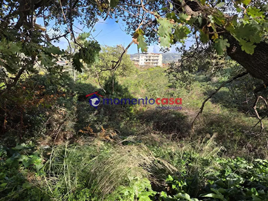 Immagine 6 di Terreno in vendita  in medina a Reggio Di Calabria