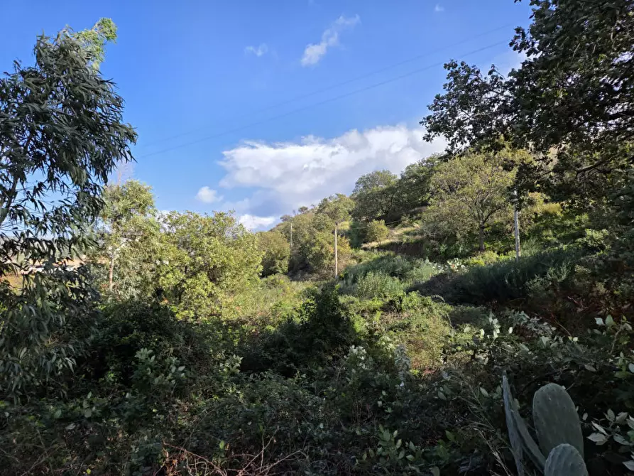 Immagine 7 di Terreno in vendita  in medina a Reggio Di Calabria