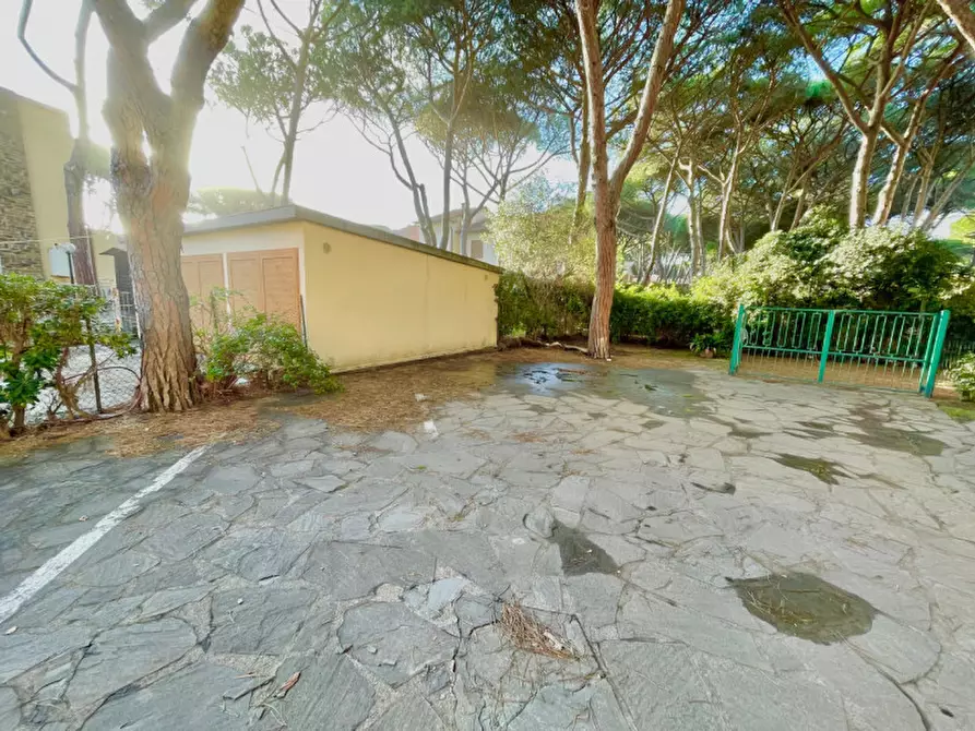 Immagine 2 di Appartamento in vendita  a Castiglione Della Pescaia