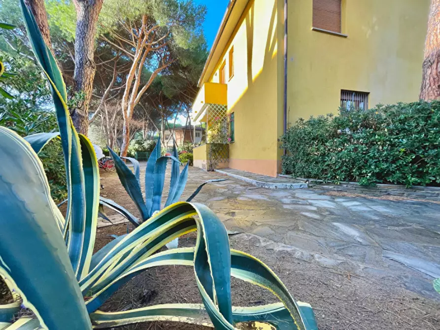 Immagine 5 di Appartamento in vendita  a Castiglione Della Pescaia