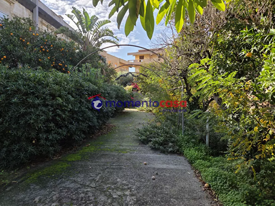 Immagine 4 di Casa indipendente in vendita  in E90 98 a Motta San Giovanni