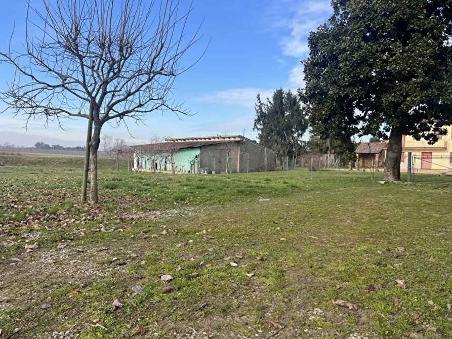 Immagine 3 di Rustico / casale in vendita  in Via Sant'Andrea a Curtarolo