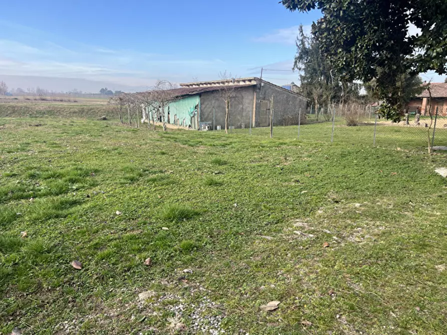 Immagine 4 di Rustico / casale in vendita  in Via Sant'Andrea a Curtarolo