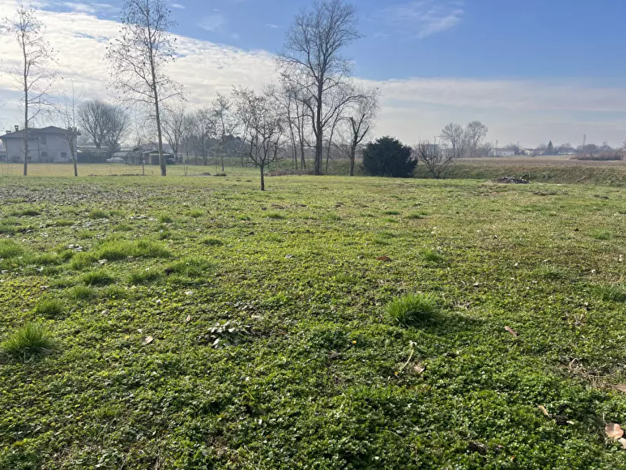 Immagine 5 di Rustico / casale in vendita  in Via Sant'Andrea a Curtarolo