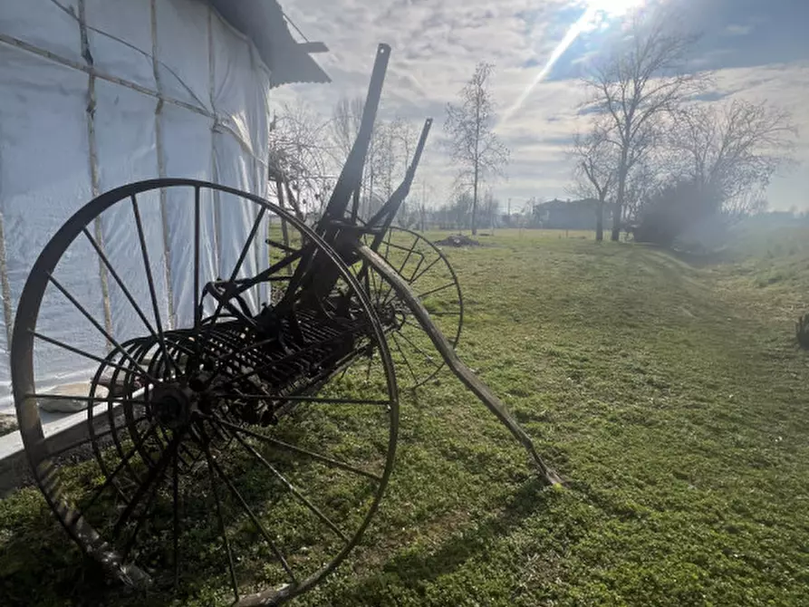 Immagine 10 di Rustico / casale in vendita  in Via Sant'Andrea a Curtarolo