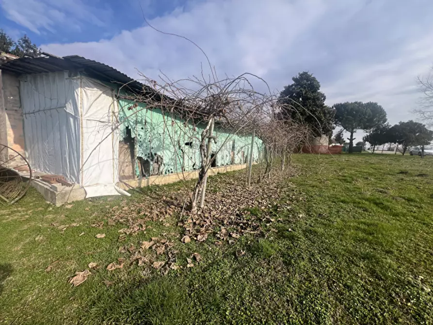 Immagine 12 di Rustico / casale in vendita  in Via Sant'Andrea a Curtarolo