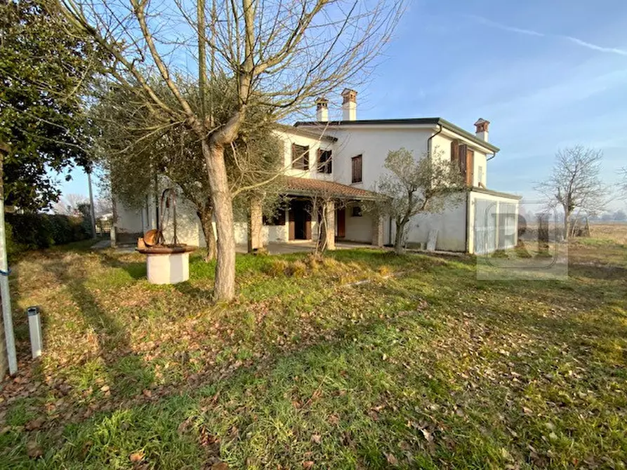 Immagine 1 di Casa indipendente in vendita  a Limena