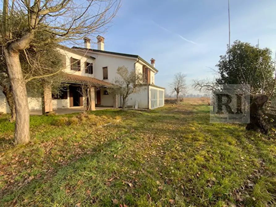 Immagine 5 di Casa indipendente in vendita  a Limena