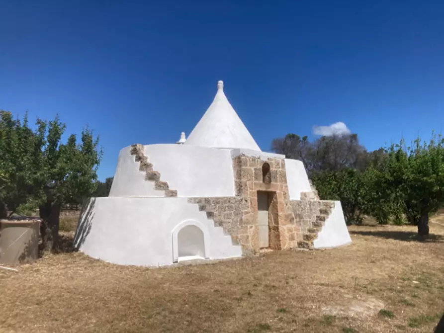 Immagine 1 di Rustico / casale in vendita  in C.da Sierri a Carovigno