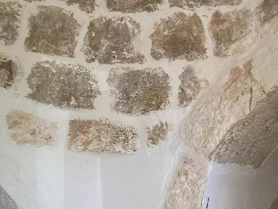 Immagine 4 di Rustico / casale in vendita  in C.da Sierri a Carovigno