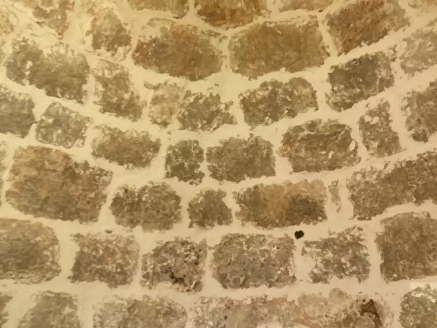 Immagine 10 di Rustico / casale in vendita  in C.da Sierri a Carovigno