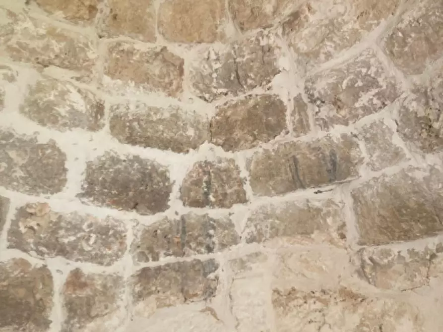 Immagine 11 di Rustico / casale in vendita  in C.da Sierri a Carovigno