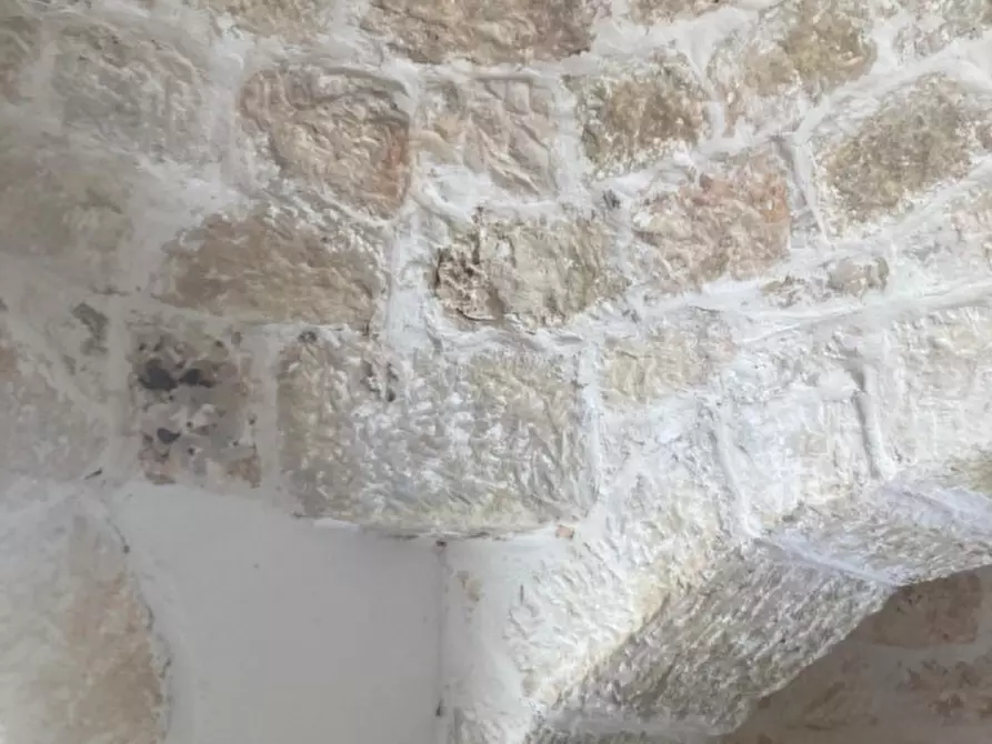 Immagine 13 di Rustico / casale in vendita  in C.da Sierri a Carovigno