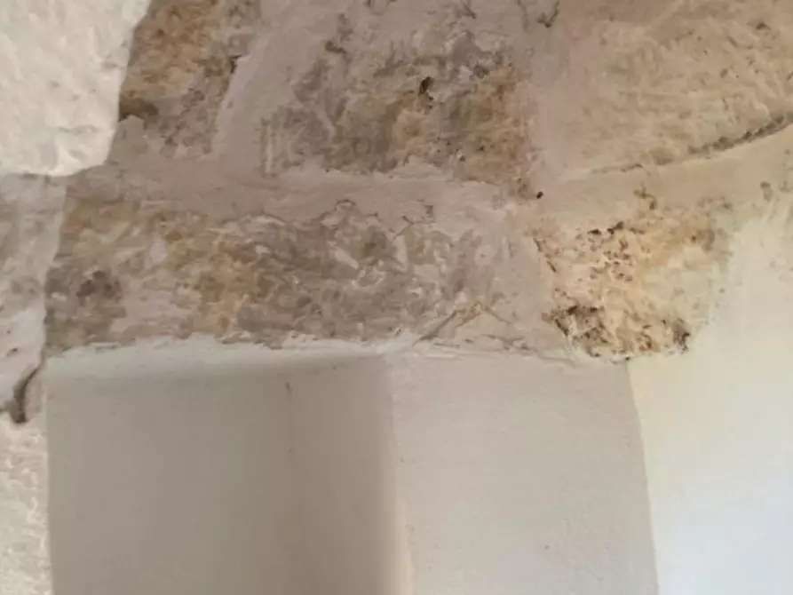 Immagine 15 di Rustico / casale in vendita  in C.da Sierri a Carovigno