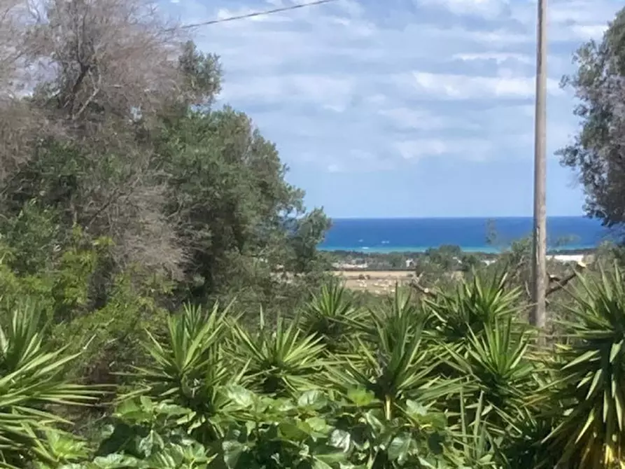 Immagine 19 di Rustico / casale in vendita  in C.da Sierri a Carovigno