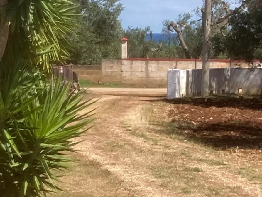 Immagine 20 di Rustico / casale in vendita  in C.da Sierri a Carovigno