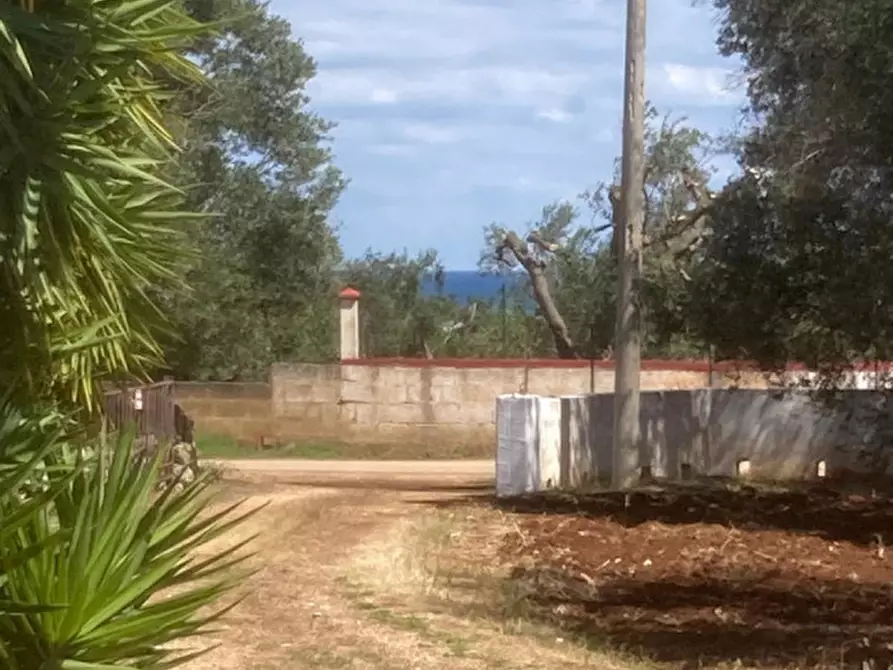 Immagine 21 di Rustico / casale in vendita  in C.da Sierri a Carovigno