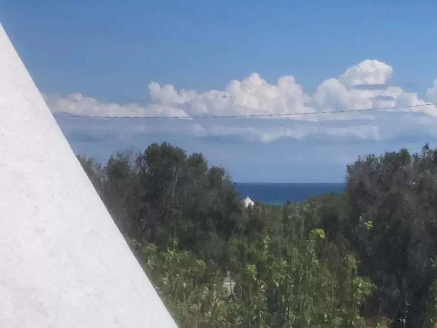 Immagine 22 di Rustico / casale in vendita  in C.da Sierri a Carovigno