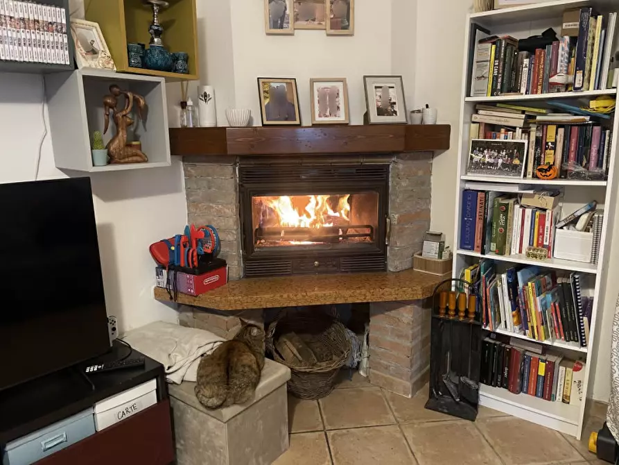 Immagine 2 di Casa bifamiliare in vendita  a Luzzara