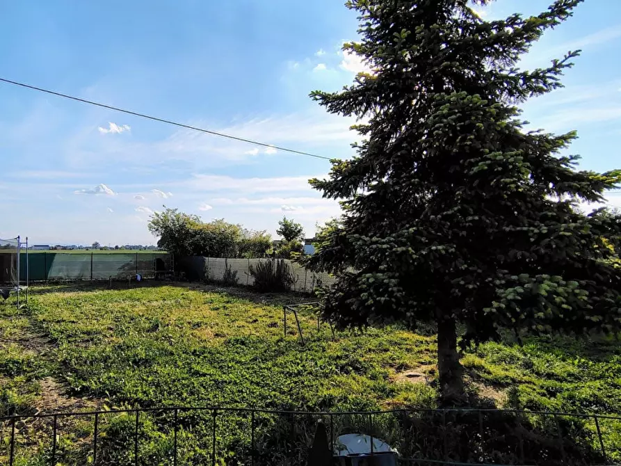 Immagine 17 di Casa bifamiliare in vendita  a Luzzara