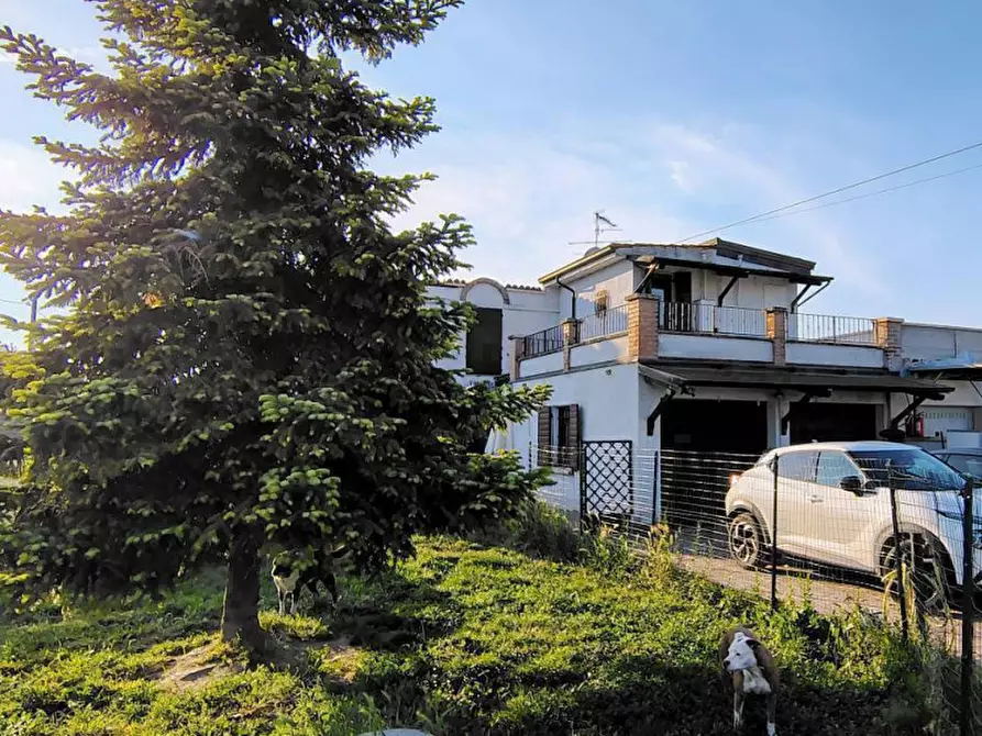 Immagine 19 di Casa bifamiliare in vendita  a Luzzara