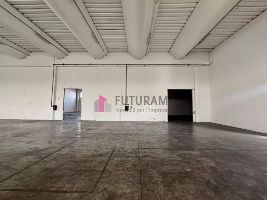 Immagine 4 di Capannone industriale in vendita  in Via Martiri della Libertà a Grantorto