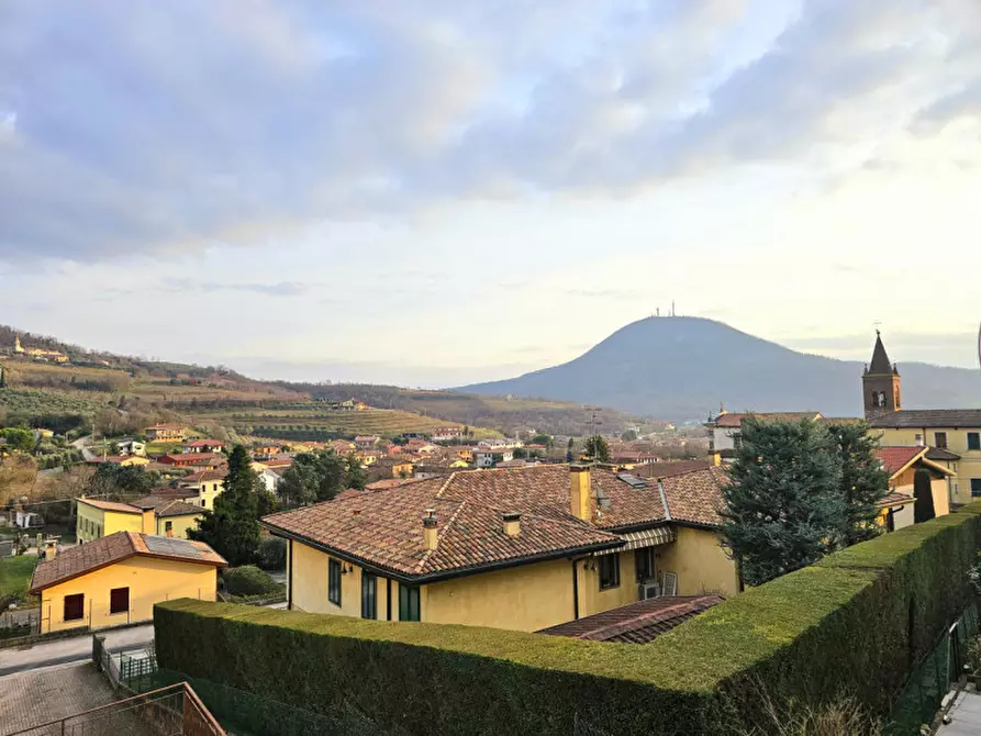 Immagine 11 di Casa indipendente in vendita  in Via Chiesa Cinto a Cinto Euganeo