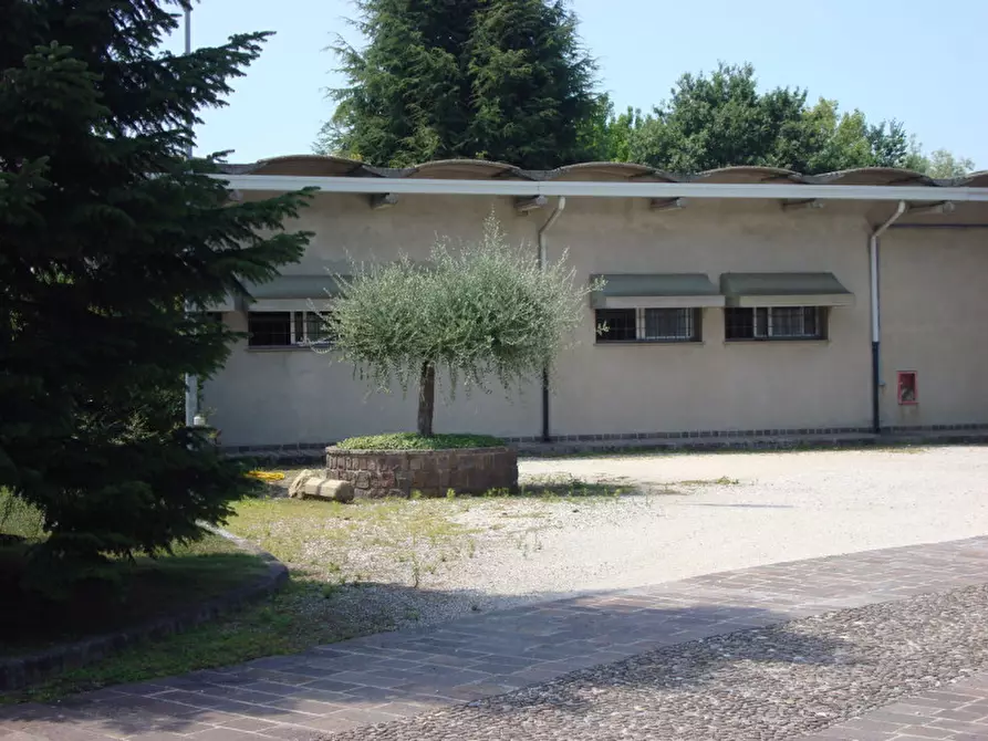 Immagine 4 di Capannone industriale in affitto  a Ceregnano