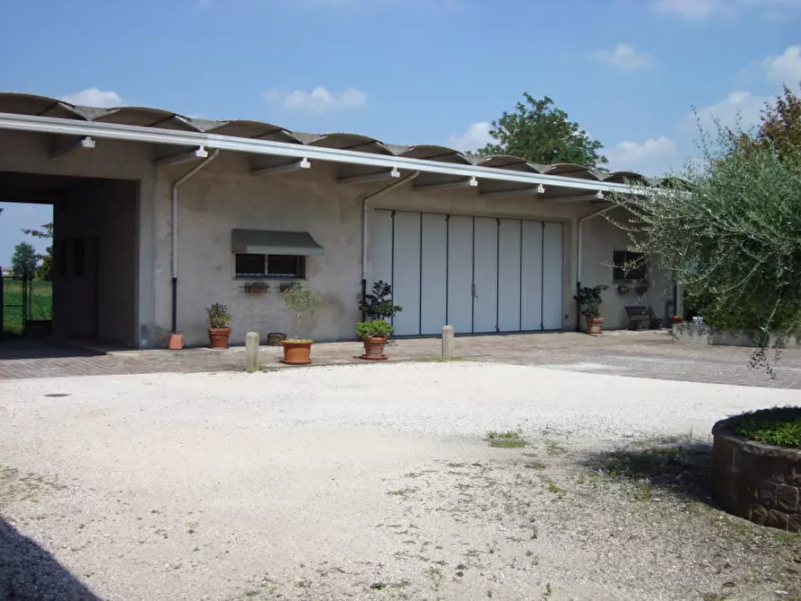 Immagine 6 di Capannone industriale in affitto  a Ceregnano