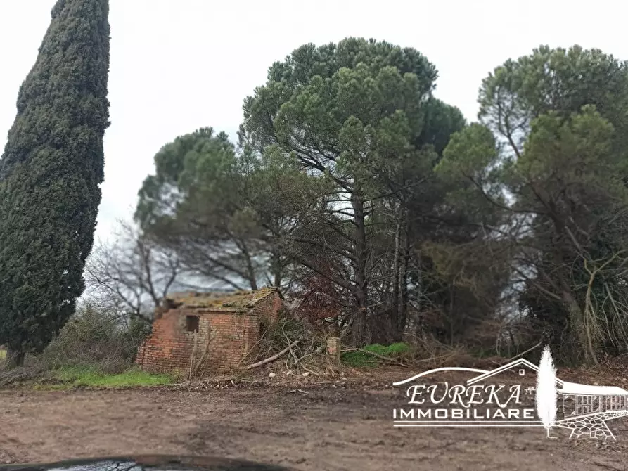 Immagine 8 di Rustico / casale in vendita  in ponticelli a Città Della Pieve