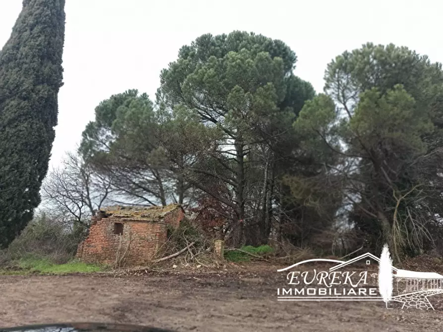 Immagine 9 di Rustico / casale in vendita  in ponticelli a Città Della Pieve