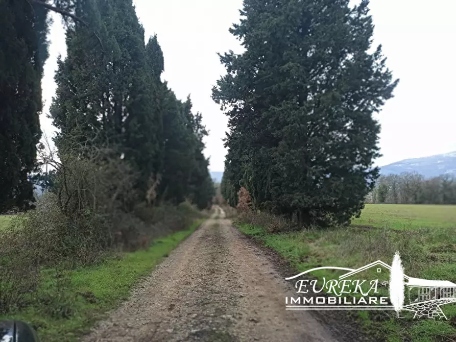 Immagine 11 di Rustico / casale in vendita  in ponticelli a Città Della Pieve