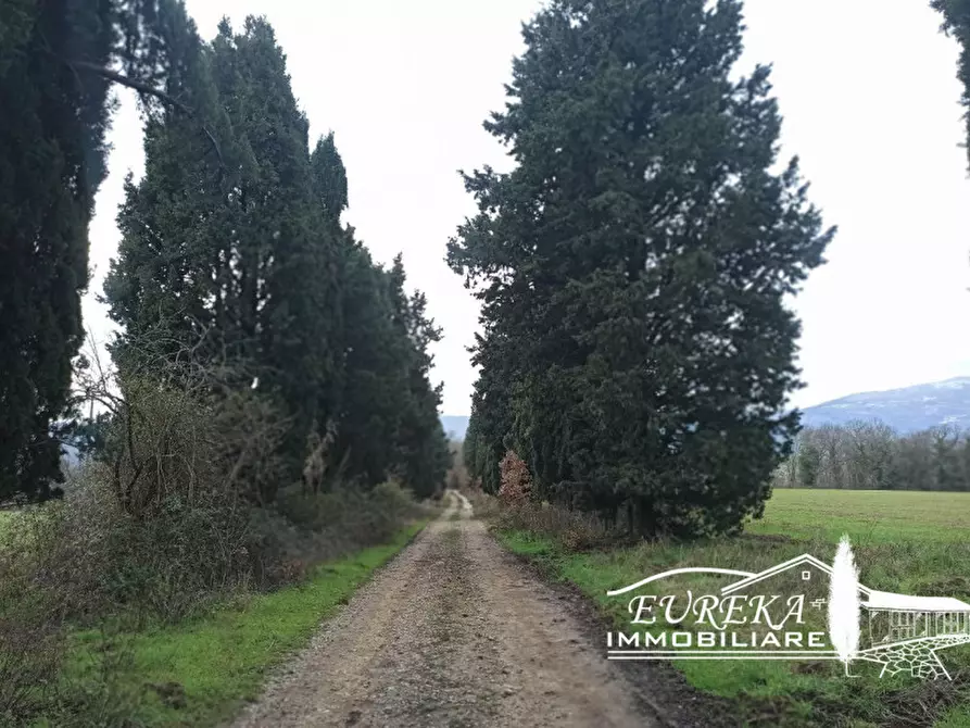 Immagine 12 di Rustico / casale in vendita  in ponticelli a Città Della Pieve