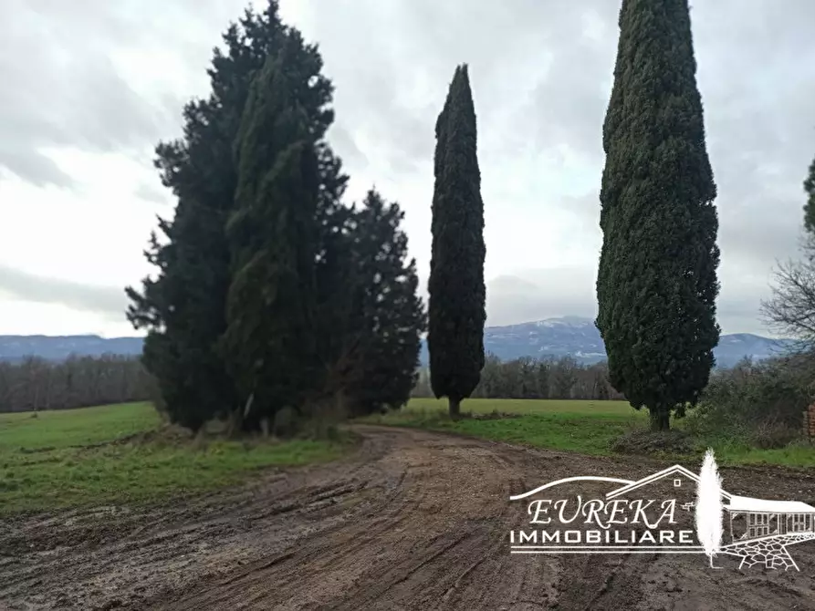 Immagine 14 di Rustico / casale in vendita  in ponticelli a Città Della Pieve