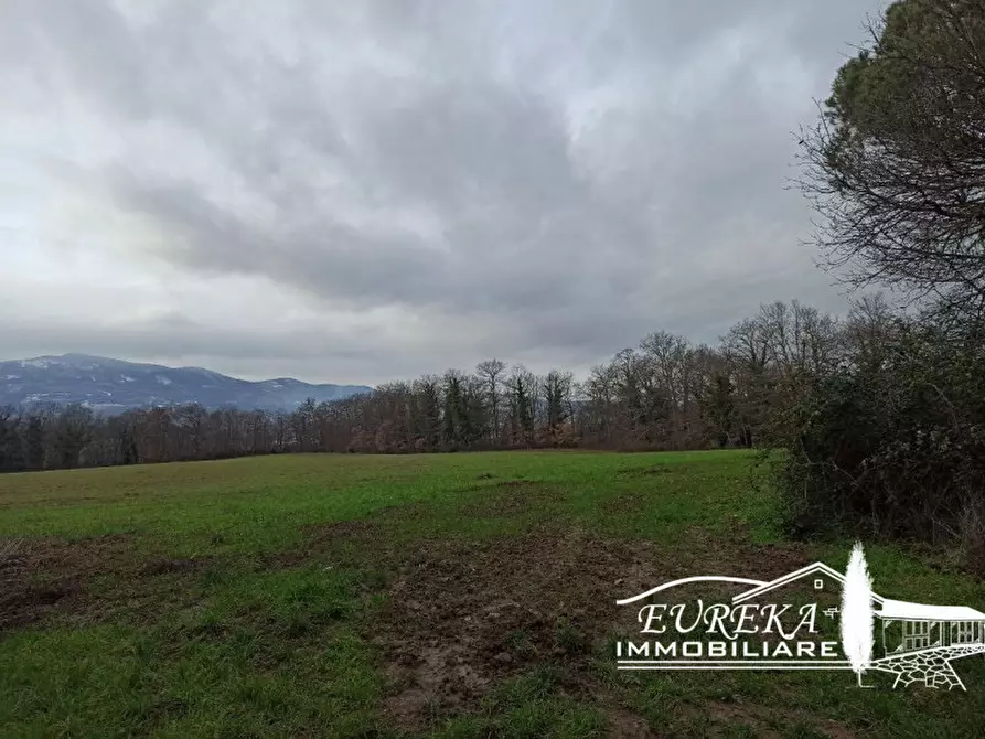 Immagine 15 di Rustico / casale in vendita  in ponticelli a Città Della Pieve