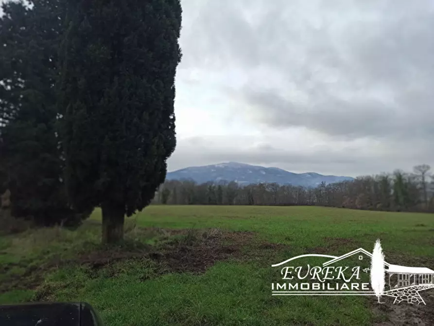 Immagine 16 di Rustico / casale in vendita  in ponticelli a Città Della Pieve