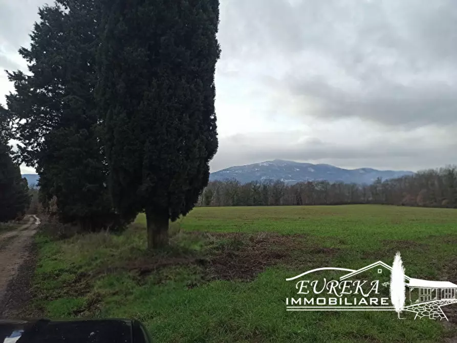 Immagine 17 di Rustico / casale in vendita  in ponticelli a Città Della Pieve