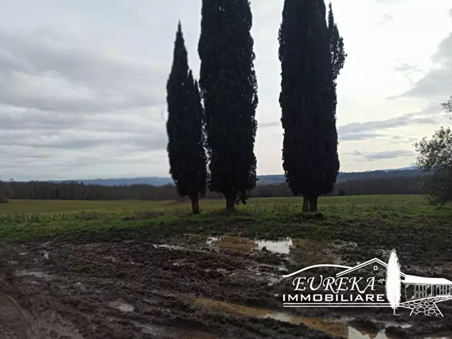 Immagine 18 di Rustico / casale in vendita  in ponticelli a Città Della Pieve