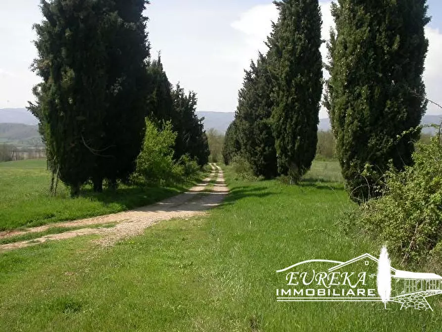 Immagine 26 di Rustico / casale in vendita  in ponticelli a Città Della Pieve