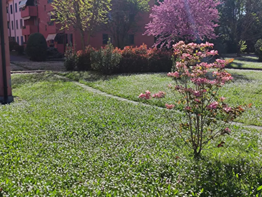 Immagine 4 di Appartamento in vendita  in Via Piave a Rescaldina