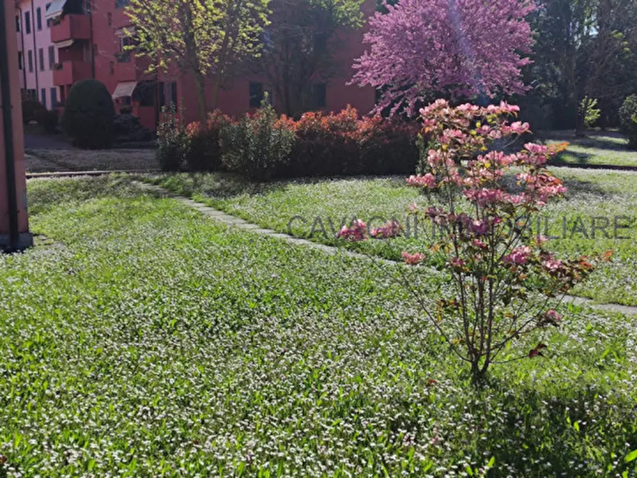 Immagine 2 di Appartamento in vendita  in Via Piave a Rescaldina