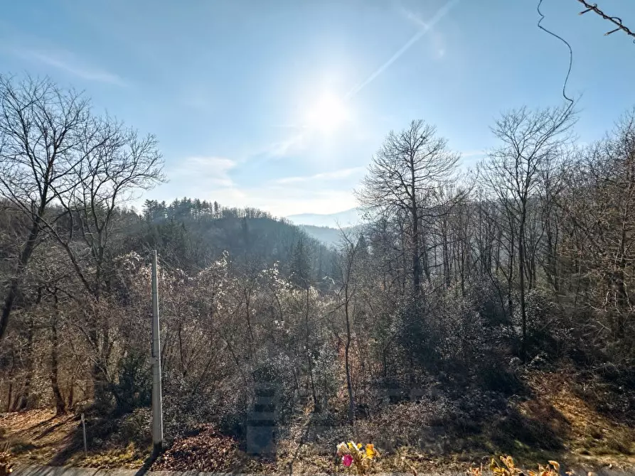 Immagine 32 di Villa in vendita  in via A, Marchionini n 4 a Cossogno