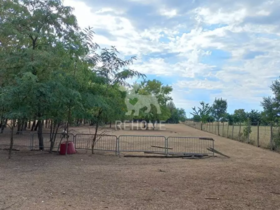 Immagine 6 di Rustico / casale in vendita  in Via Baldasseria Media, 195 a Udine
