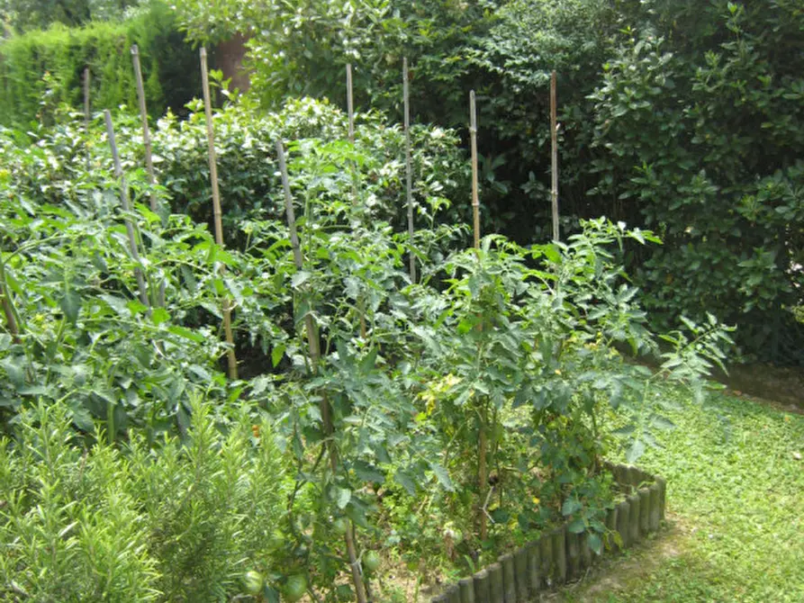 Immagine 10 di Casa bifamiliare in vendita  in Viale Sant'Agostino a Vicenza