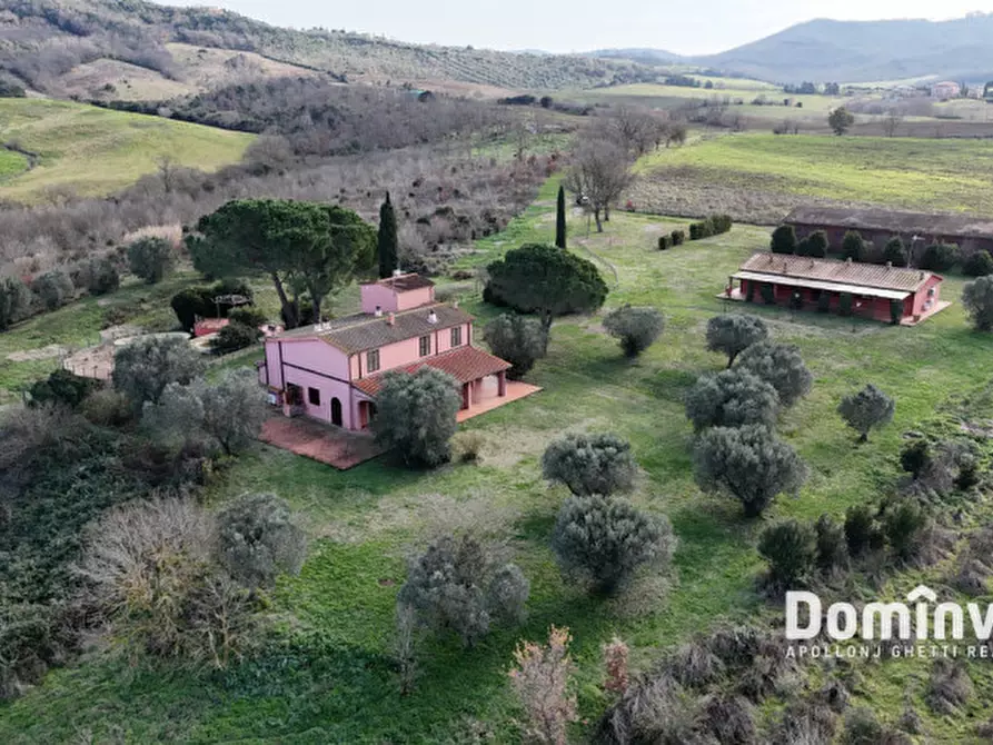 Immagine 7 di Rustico / casale in vendita  in Strada Capalbio Pescia Fiorentina a Capalbio