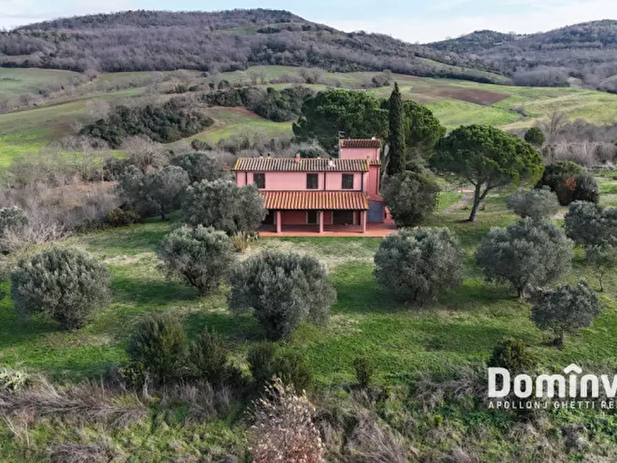 Immagine 10 di Rustico / casale in vendita  in Strada Capalbio Pescia Fiorentina a Capalbio