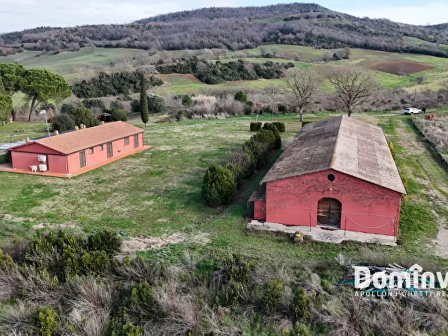 Immagine 11 di Rustico / casale in vendita  in Strada Capalbio Pescia Fiorentina a Capalbio