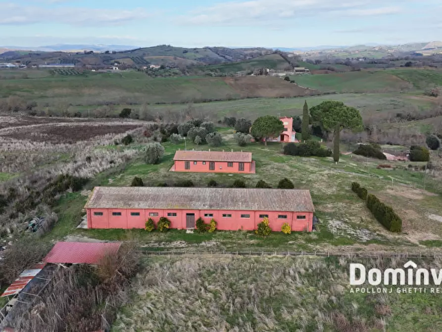 Immagine 12 di Rustico / casale in vendita  in Strada Capalbio Pescia Fiorentina a Capalbio